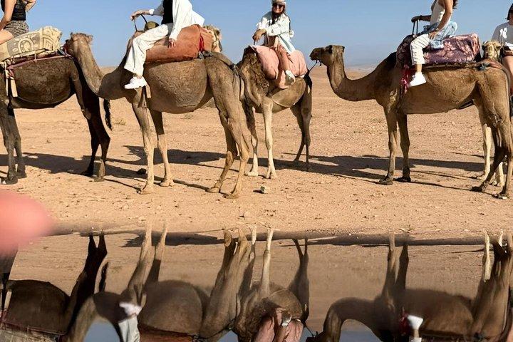 アガファイ砂漠での冒険：ラクダ乗り、四輪バギー、ベルベル料理の夕食