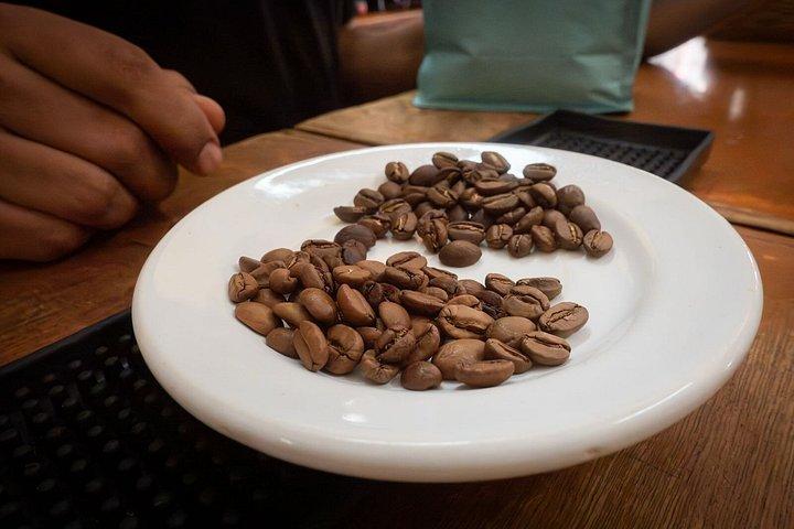 Cozumel Chocolate & Coffee Experience: Make Your Own Chocolate
