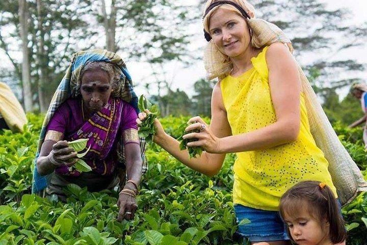 7-Daagse Sri Lanka Tour met Hotel en Transfer