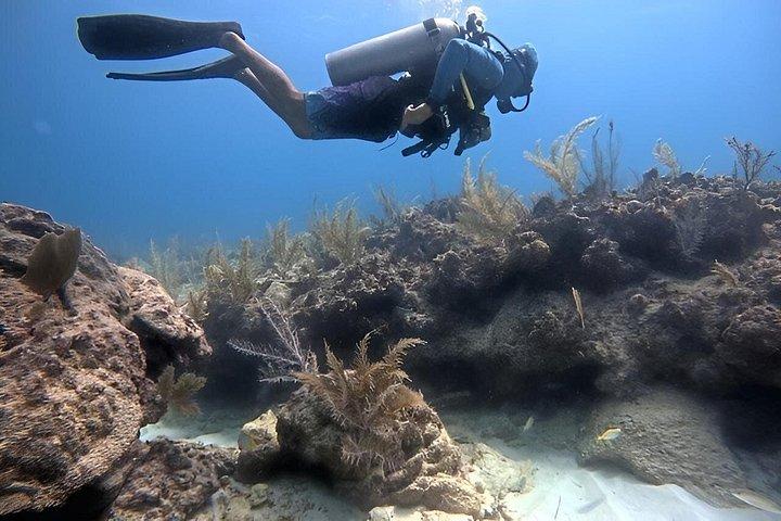 2-Tank Scuba Dive: Puerto Morelos Reef & Shipwreck | Small Groups