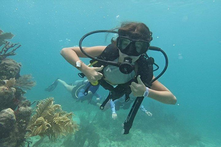 2-Tank Scuba Dive: Puerto Morelos Reef & Shipwreck | Small Groups