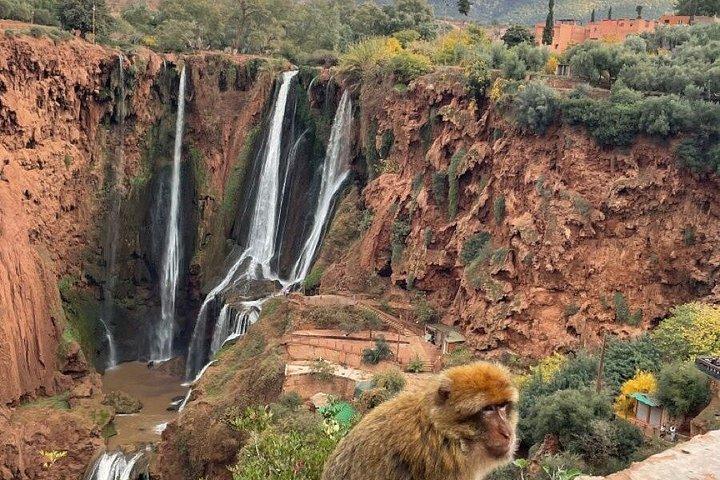 Ouzoud Waterfalls Day Trip from Marrakech with Scenic Nature Walk