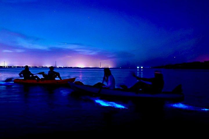 メリット島生物発光ナイトタイムグローカヤック＆SUPツアー