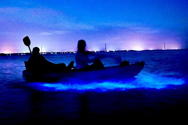 メリット島生物発光ナイトタイムグローカヤック＆SUPツアー
