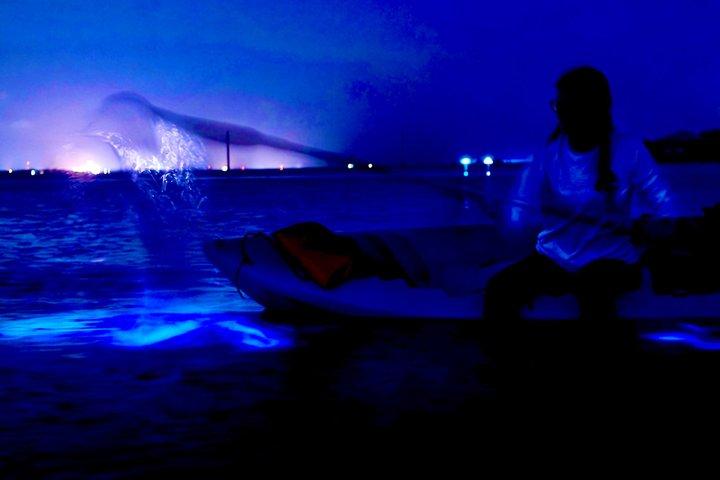 メリット島生物発光ナイトタイムグローカヤック＆SUPツアー