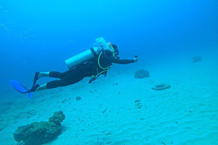Lionfish Scuba Mini Course Underwater Adventure