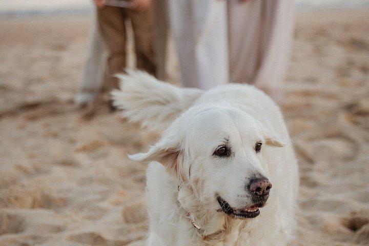 Cabo San Lucas Professional Photoshoot Session
