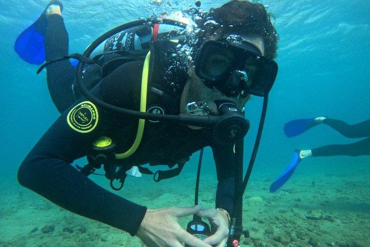 NAUI Open Water Parque Tayrona Diving Certification Course