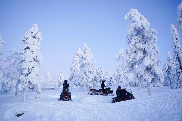 ロヴァニエミの 1 日スノーモービル アクティビティ