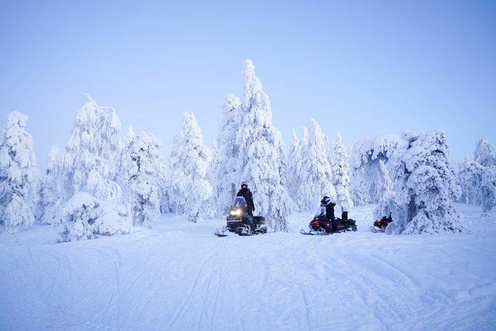 Schneemobil-Abenteuer in Lappland