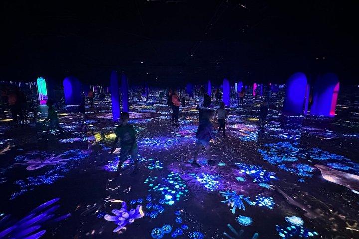 Bubble Planet Montréal : Expérience interactive numérique immersive