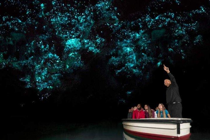 Waitomo Glowworm, Blue Springs et Hobbiton Day tour