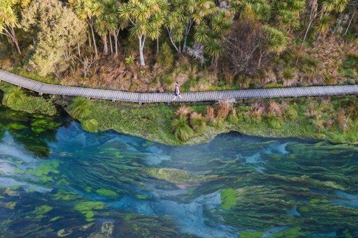 Waitomo Glowworm, Blue Springs et Hobbiton Day tour