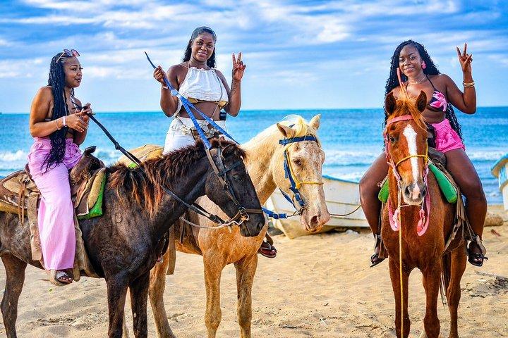 Hoteller i nærheden af Punta Cana Monkeyhouse and Adventure Horse Ride