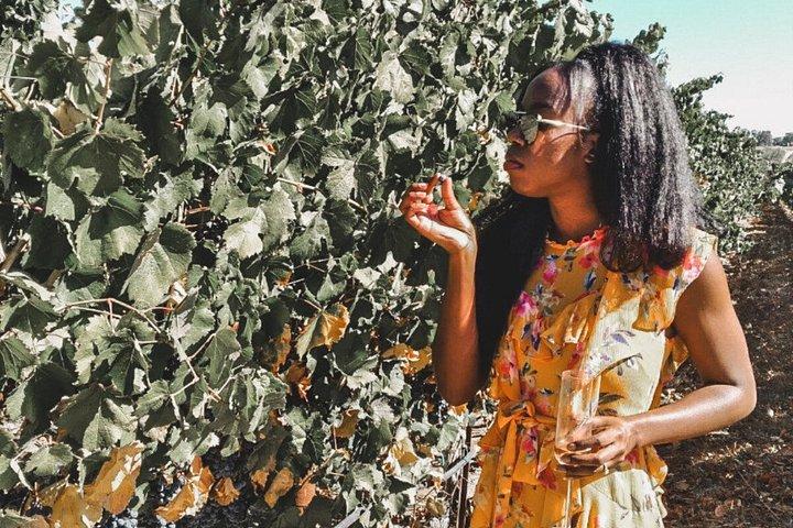 Private Wine Tour in Paso Robles