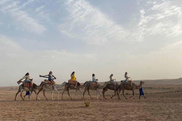 Marrakech: Quadbike, solnedgang, middagsshow og valgfri kamelride