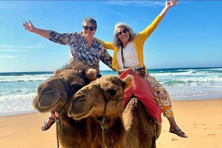 Tangier Cruise Ship Excursion - Private Guided Tour & camel ride