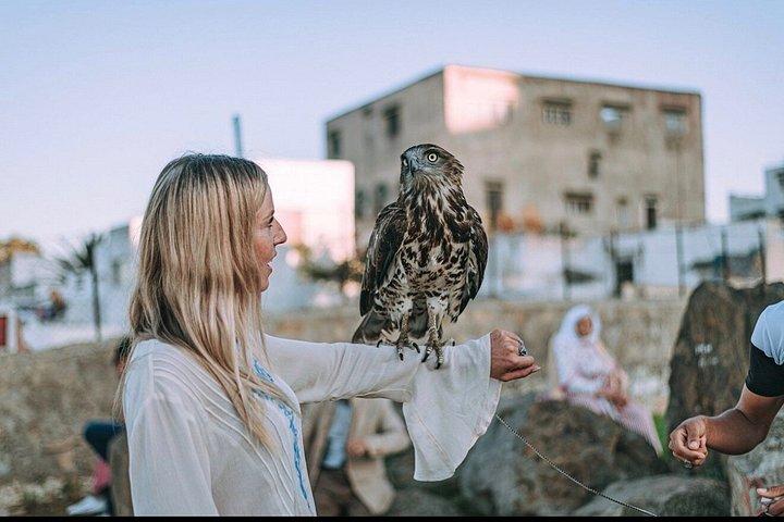 Tangier Cruise Ship Excursion - Private Guided Tour & camel ride