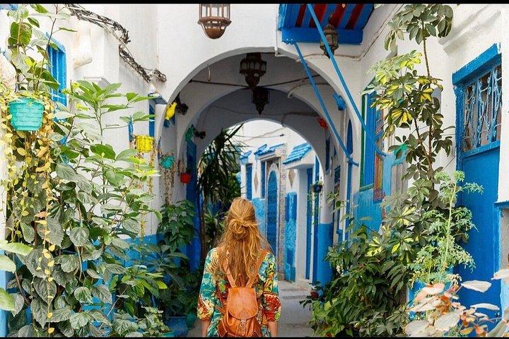 Tangier Cruise Ship Excursion - Private Guided Tour & camel ride