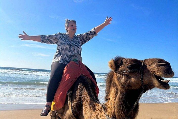 Tangier Cruise Ship Excursion - Private Guided Tour & camel ride