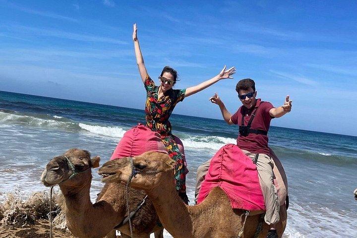 Tangier Cruise Ship Excursion - Private Guided Tour & camel ride