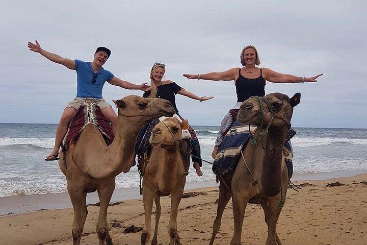 Tour privado de lujo de día completo por Tánger y paseo en camello
