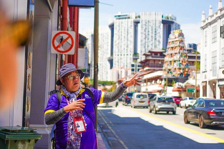 シンガポールプライベートフード、文化、遺産ツアー（9つのテイスティング付き）