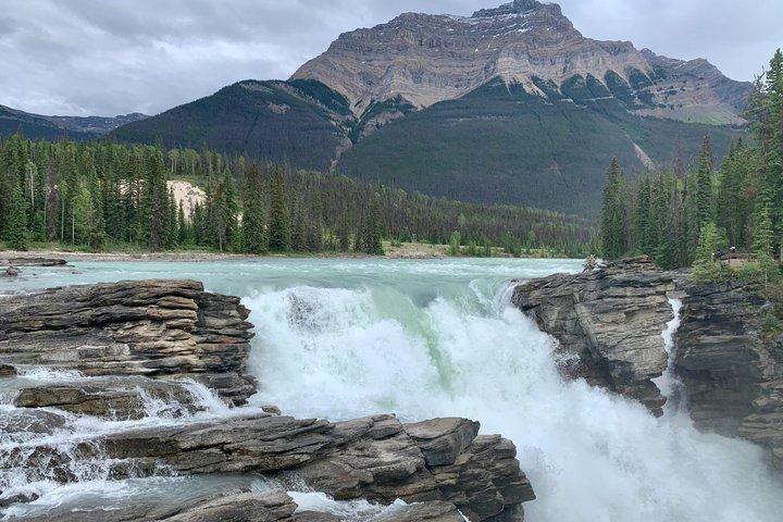 Lake Louise Jasper Columbia Icefield Athabasca Falls Peyto Tour