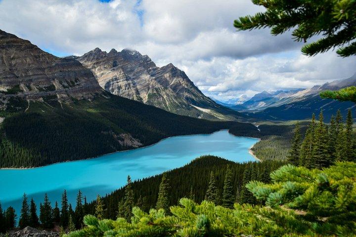 Lake Louise Jasper Columbia Icefield Athabasca Falls Peyto Tour