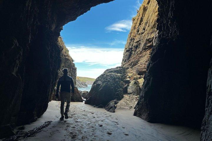 Hobart : Excursion privée d'une journée en Tasmanie avec Guide local
