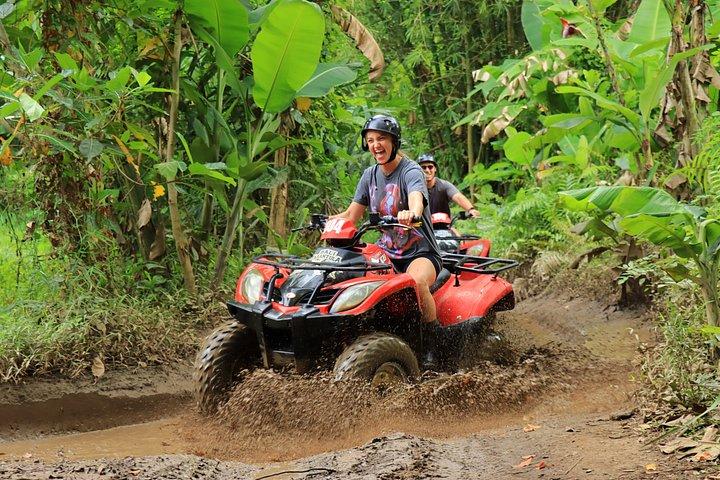 ATVクワッドバイクバリ滝象の洞窟とランチ付き