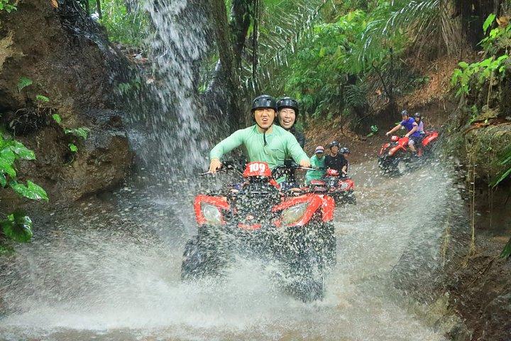 ATVクワッドバイクバリ滝象の洞窟とランチ付き
