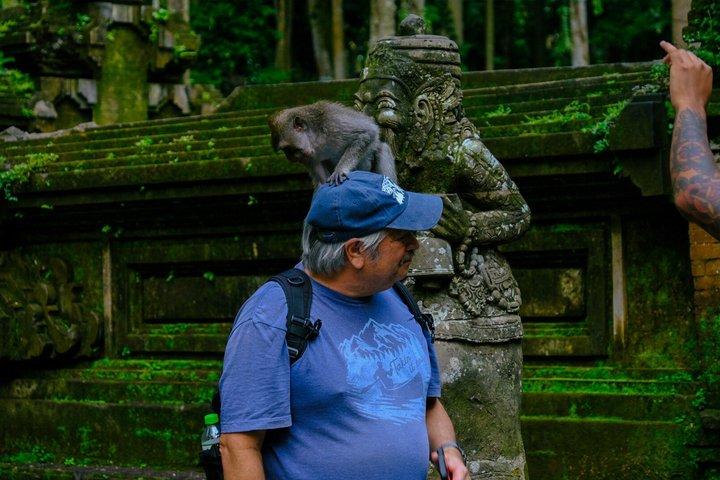Private Ubud Highlights: Nature and Cultural Experience
