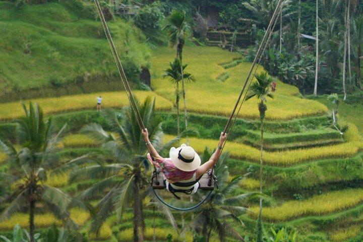 Private Ubud Highlights: Nature and Cultural Experience