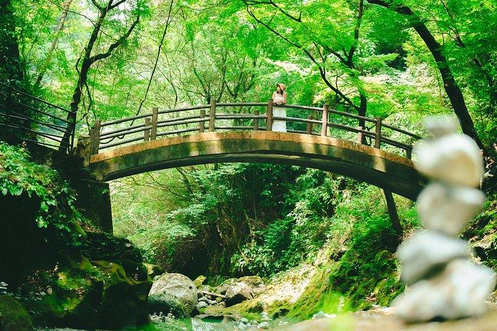 福岡発：阿蘇山・高千穂オールインクルーシブプライベートツアー