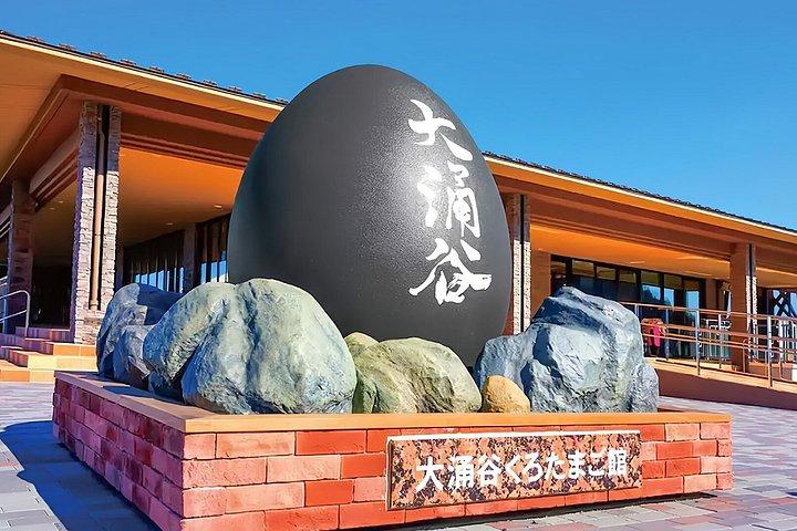 Excursion privée d'une journée au Mont Fuji