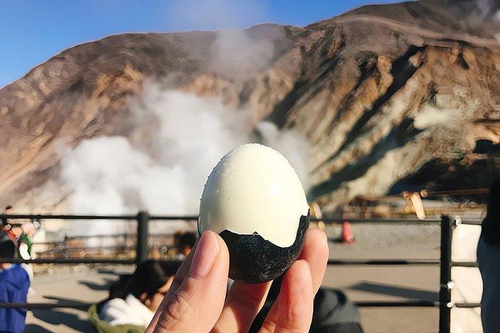 Excursion privée d'une journée au Mont Fuji