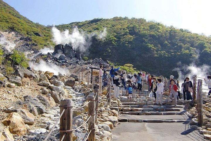 Excursion privée d'une journée au Mont Fuji