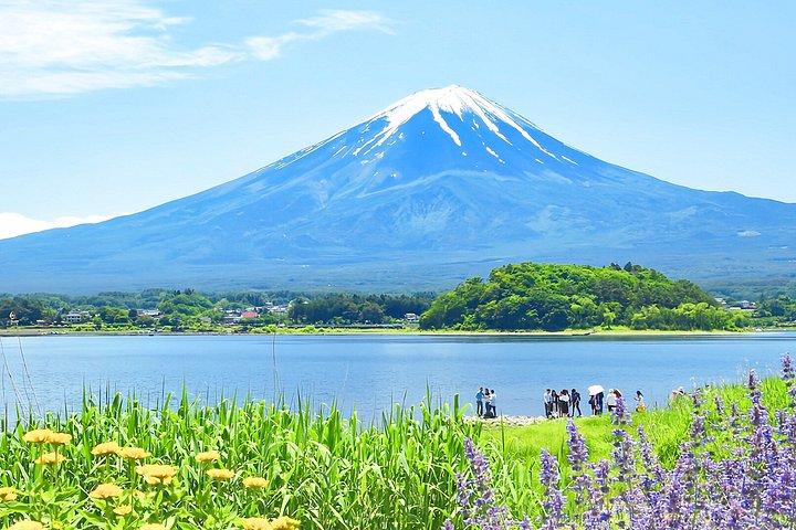Excursion privée d'une journée au Mont Fuji