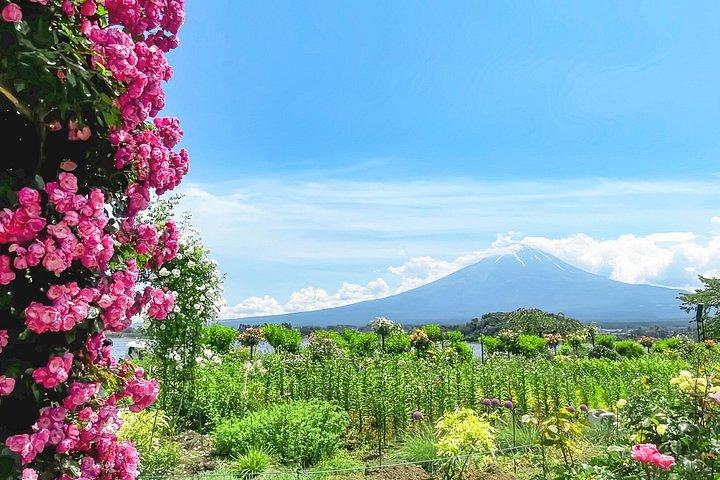 Excursion privée d'une journée au Mont Fuji