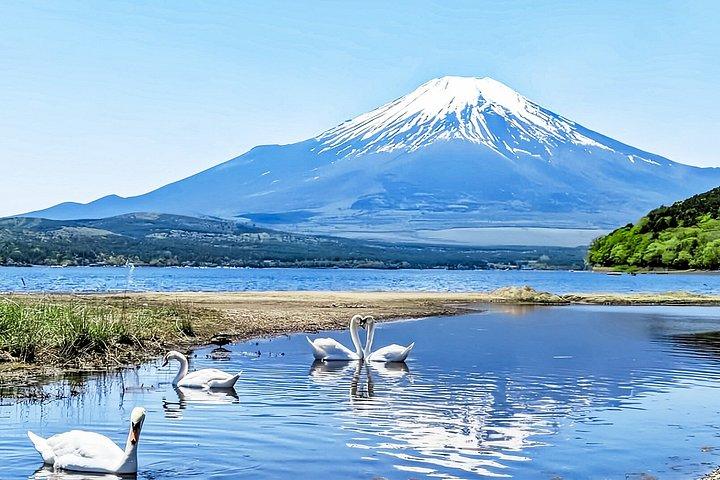 Excursion privée d'une journée au Mont Fuji