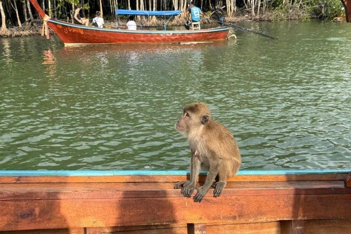 カヤックで行くコ・ランタ・サンセットと生物発光プランクトン