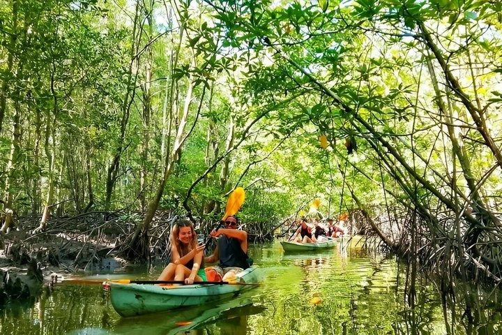 Ko Lanta Mangrove Kayak e Città Vecchia