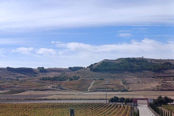 Pago de Carraovejas e Segovia da Madrid
