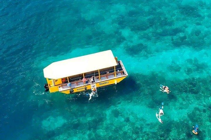 Ultimate Snorkeling by Boat & wildlife sanctuary