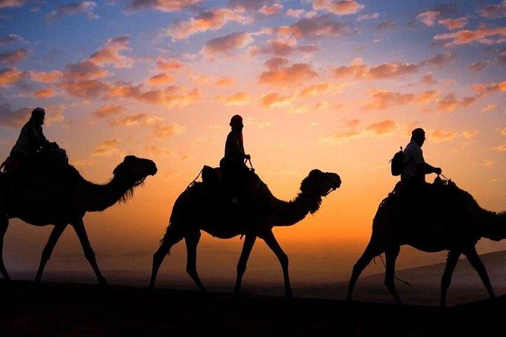 3 Day Desert Tour from Marrakech to Zagora