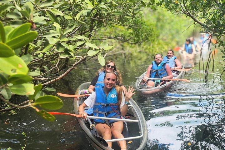 2 Hour Clear Kayak Mangrove Tunnel Eco Tour in Sarasota