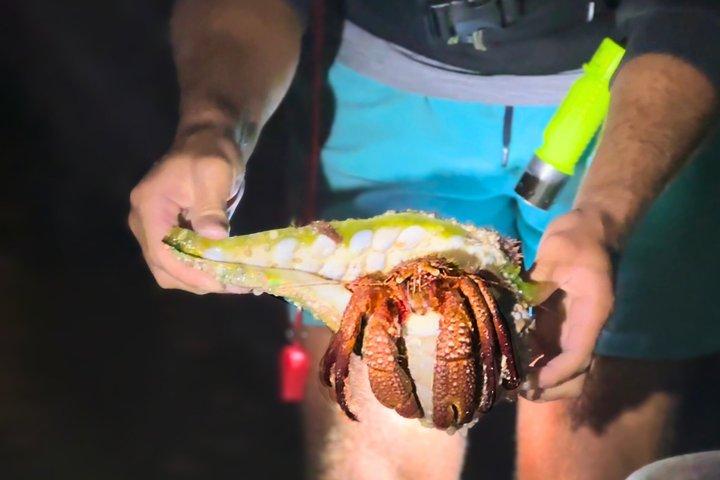 Excursion de nuit éclairée de 90 minutes en kayak à LED