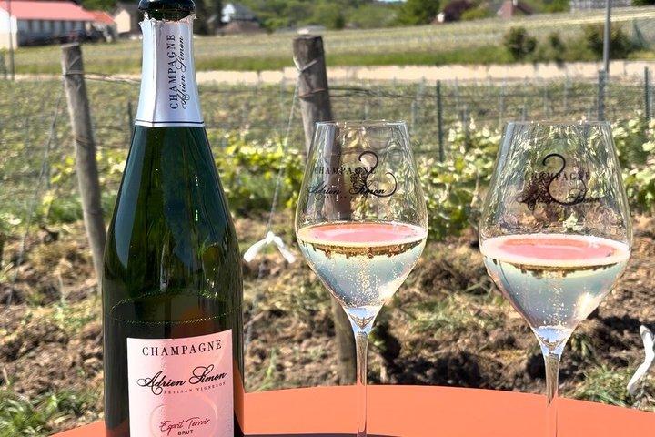 Visita a una tenuta di Champagne a conduzione familiare vicino a Reims