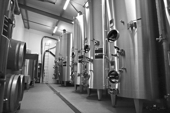 Visita a una tenuta di Champagne a conduzione familiare vicino a Reims